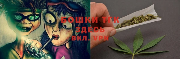 тгк Алексин