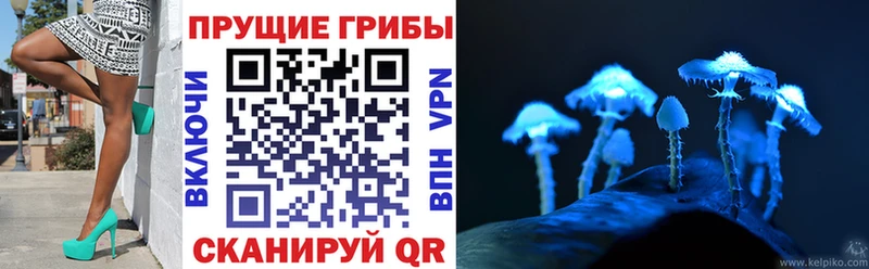 где купить наркоту  Ковров  Псилоцибиновые грибы мицелий 