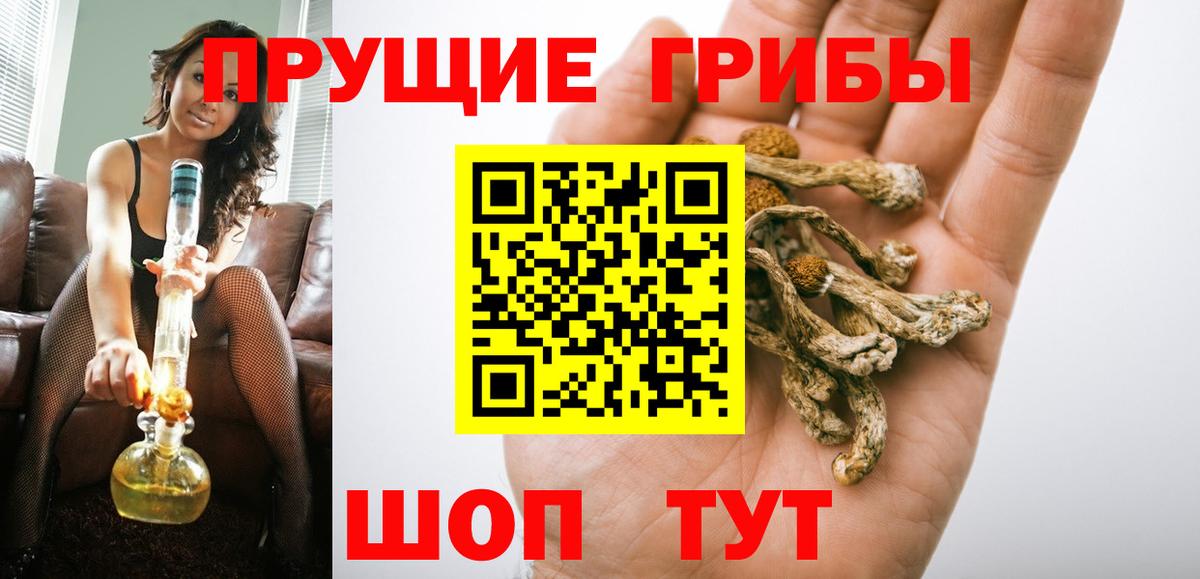 Галлюциногенные грибы Psilocybine cubensis Ковров