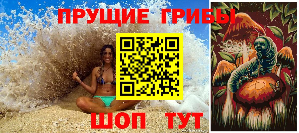 Галлюциногенные грибы Cubensis  Вход с VPN  Псилоцибиновые грибы GOLDEN TEACHER  Ковров 